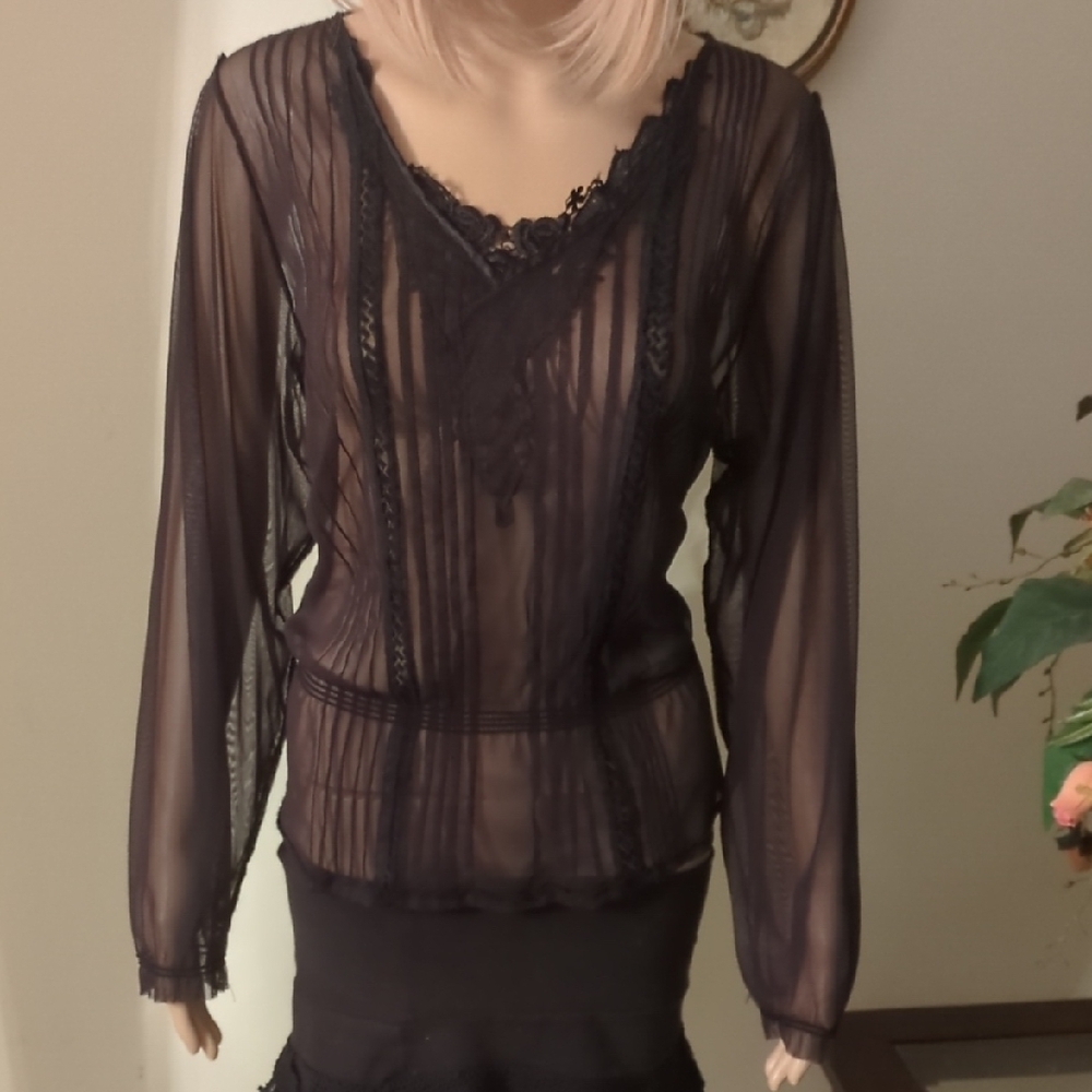 Brown Sheer Long Sleeve Blouse with Pintuck Detailing